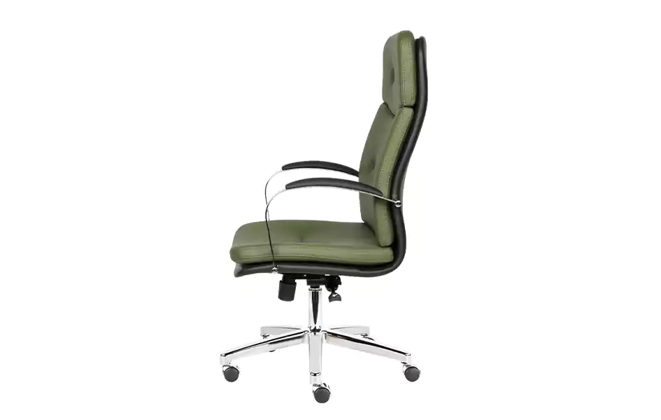 Cozy Executive Chair